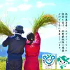 【新米】茨城県産ミルキークイーン　ほたる5kg