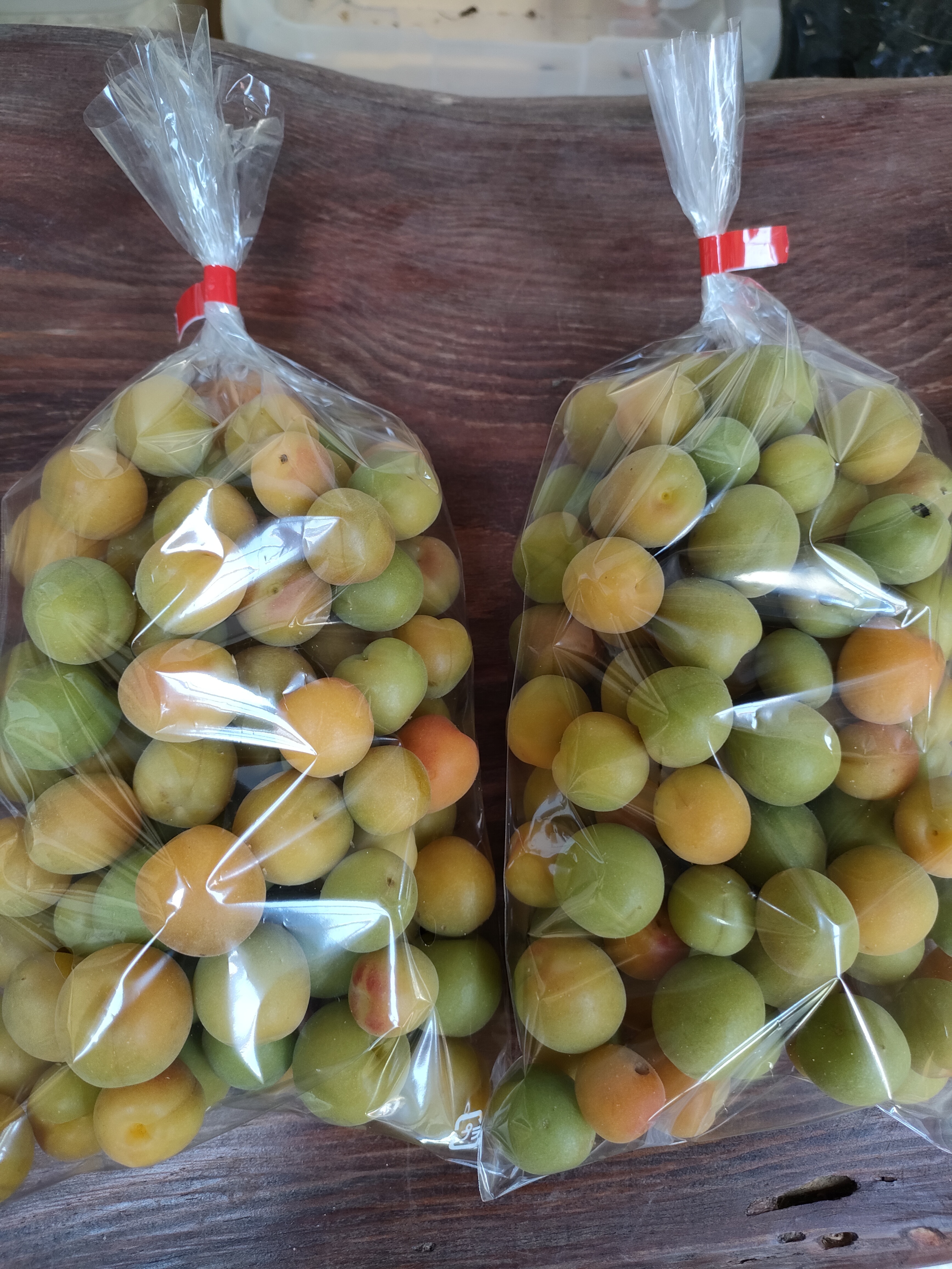 0806プロ用「枝完熟小梅」10kg 梅干し用❄️クール便発送　キルトパッチ店 55799-22-