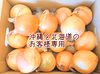 北海道&沖縄お客様専用淡路島の玉ねぎ