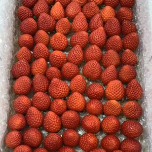【希少あまりん】小粒たっぷり１Kg 朝採れ！