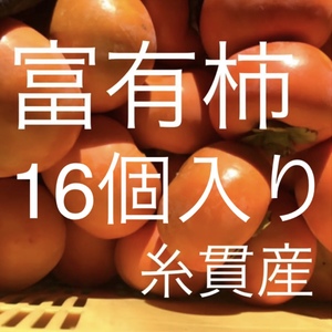 甘さあふれる‼️富有柿Mサイズ16個入り⭐️産地直送