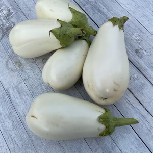 やみつきの美味しさ　とろーり旨なす 農薬不使用　化学肥料不使用　除草剤不使用