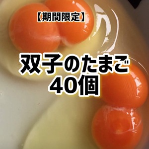 【双子のたまご 40個】益子でうまれた赤たまご 双子ちゃん40個