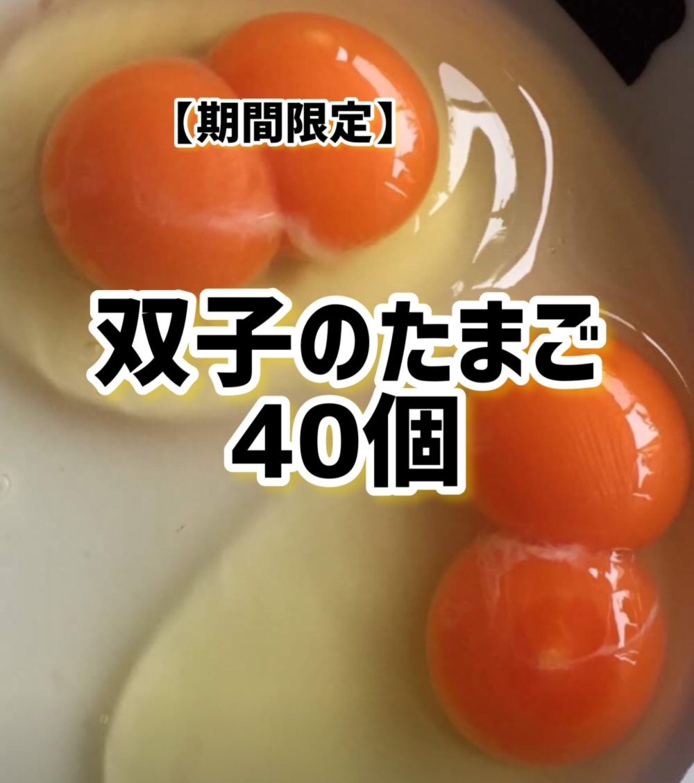 双子のたまご 40個 益子でうまれた赤たまご 双子ちゃん40個 農家漁師から産地直送の通販 ポケットマルシェ