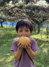 梨でおもてなし(*´▽｀*)南水 3kg 贈答にもどうぞ！