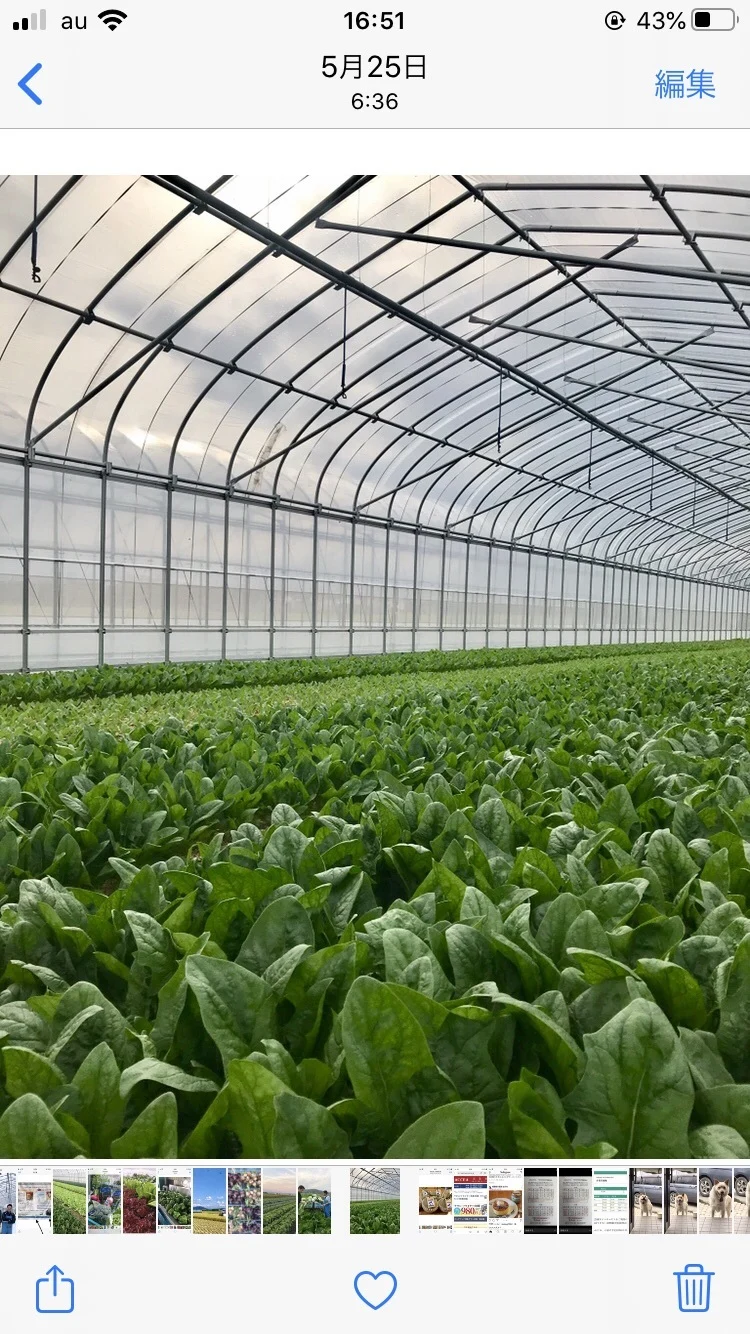 近江牛の堆肥で育てた採れたて野菜セット♪湖国からの旬便り