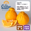 3種のみかん果汁 しらぬい,スイートスプリング,グレープフルーツ