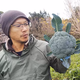 藤本康央