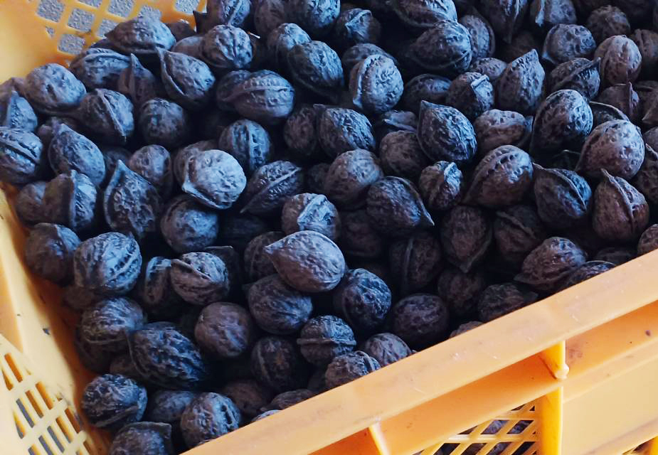 鬼くるみ】新潟県産胡桃 和クルミ 自然栽培 希少在来種250g～｜ナッツ