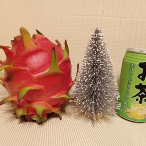 沖縄産　1kg超大玉　ドラゴンフルーツ（赤）