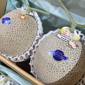 【数量限定】とみおか農園のアールスメロン2玉