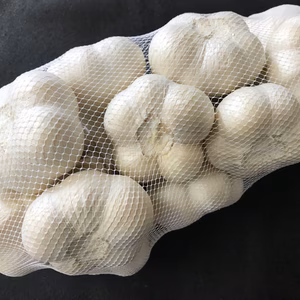 令和6年度産 青森県産ホワイト六片種にんにく 1kg 中・小玉