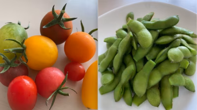 みんなの投稿の画像