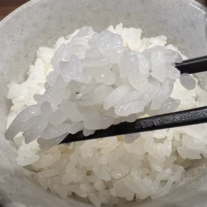 プチプチ健康米（従来ｺｼﾋｶﾘ ﾐﾙｷｰｸｲｰﾝをブレンド）