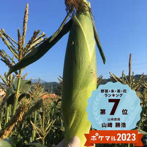 　標高1000m！はじける感動の味！とうもろこし恵味2Lサイズ以上