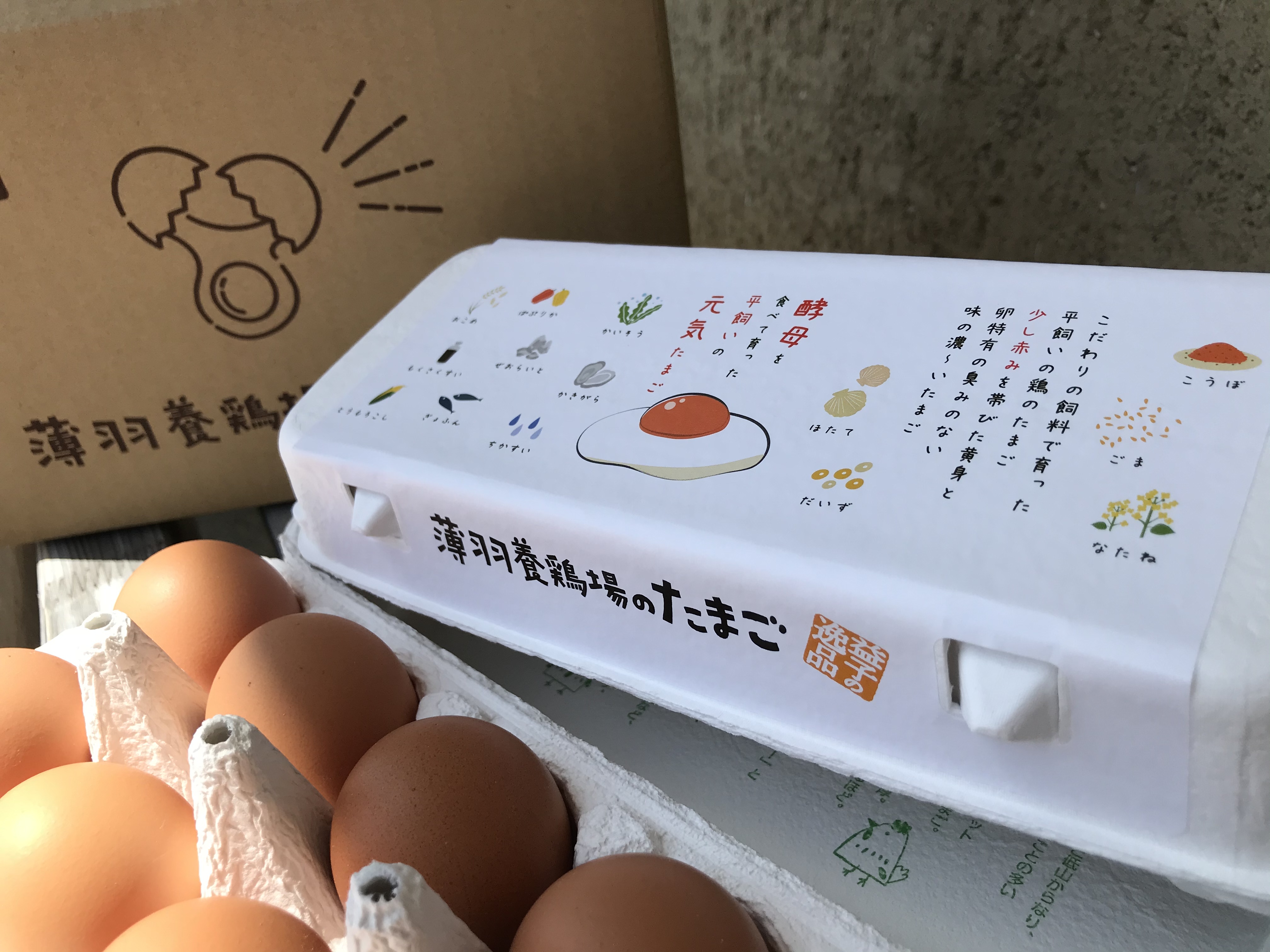売れ筋ランキング とれたて新鮮平飼い有精卵20個入り