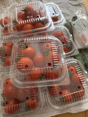 みんなの投稿の画像