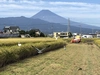 【お米】令和5年産ヒノヒカリ小規模農家ならでは！大切に育てました