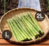 ＼シェフ御用達／ 北海道日高産アスパラ 春芽 (2L・Lサイズ混合1g、2kg)