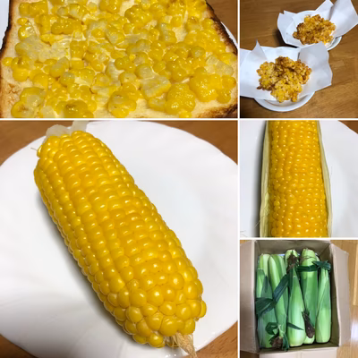 みんなの投稿の画像