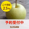 鳥取県産[二十世紀梨(にじゅっせいき)]2.5kg箱(6-8玉)