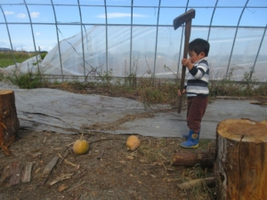 14681776_1099136206860825_3232528514149117632_n