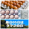 毎月05日はタマゴの日‼　×75個!!【名古屋コーチン&国産鶏もみじ】