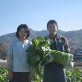 佐藤信也 | Kai Sweet Farm