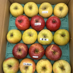 春のりんご祭り❗️訳あり5種詰め合わせ　5キロ詰め