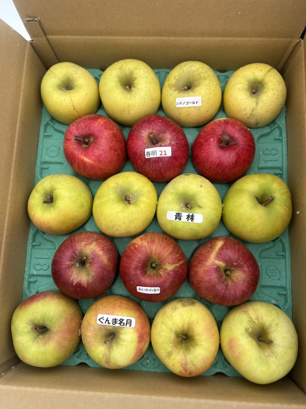 春のりんご祭り❗️訳あり5種詰め合わせ　5キロ詰め