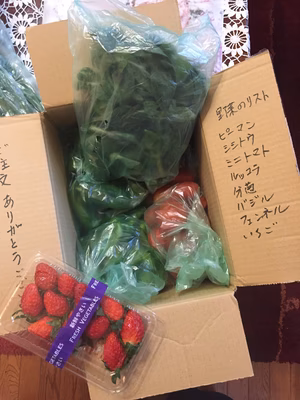 みんなの投稿の画像