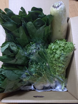 みんなの投稿の画像