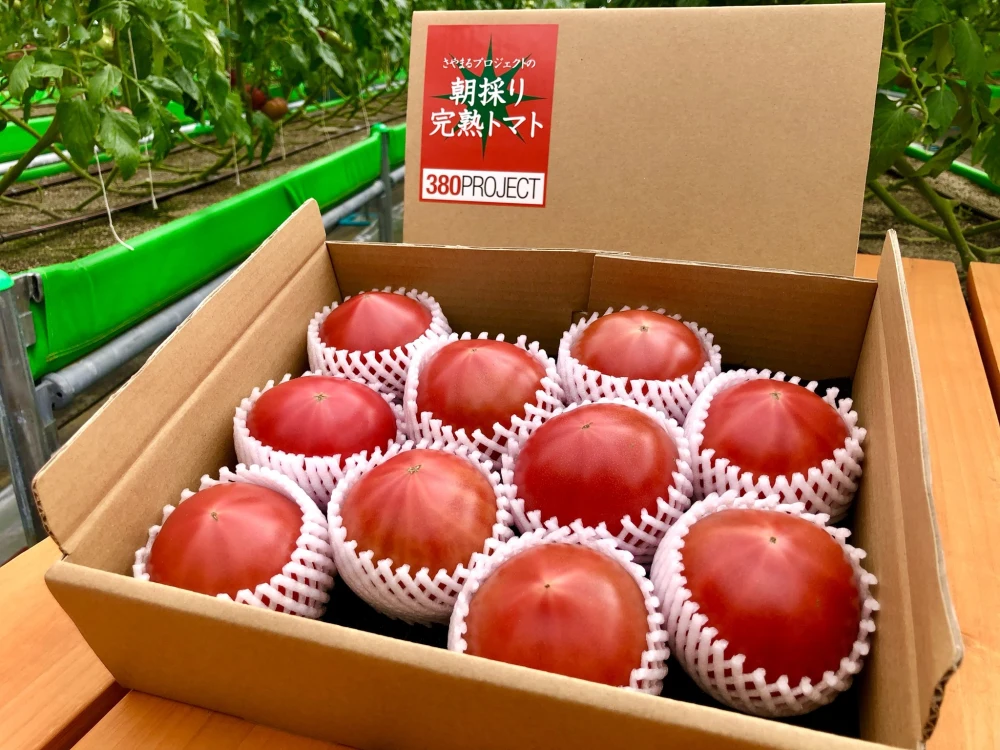 【ギフト対応OK】さやまるプロジェクトの朝採り完熟トマト（チルド発送）