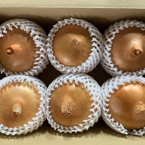 淡路島極熟玉葱シャーロットオニオン　贈答用　お歳暮　「熨斗対応可」