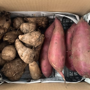 里芋、さつまいも各２kgずつお芋セット