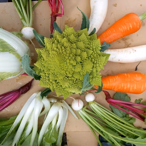 インスタ映え間違えなし！　選べる冬の7種の野菜セット　