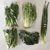 常温で発送　葉物野菜5種類、5袋セット