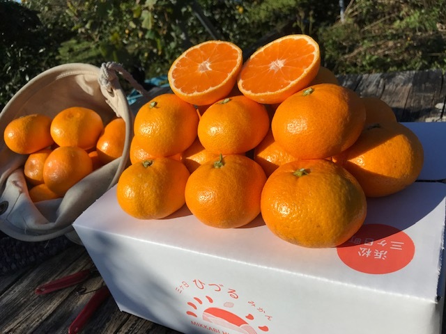 専用♥お年玉超特価❤みかん♥もちぷに♥規格外…大きなブランケット☆Ｗボアケット⭐ 専用♥お年玉超特価❤みかん♥もちぷに♥規格外…大きなブランケット