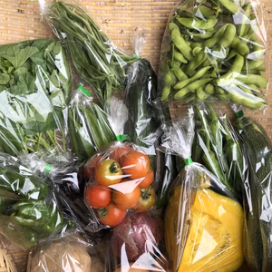 【枝豆たっぷり400gと季節路地野菜7品】