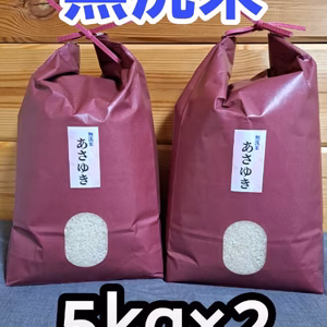 送料無料‼️令和6年青森県産無洗米あさゆき5kg×2