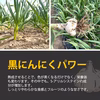 黒にんにく バラ 青森県産 熟成黒ニンニク 添加物不使用
