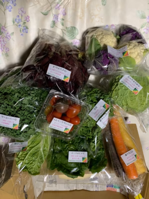 みんなの投稿の画像