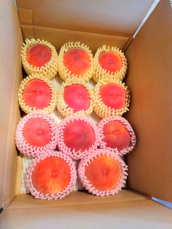 家庭用　♪とっても甘〜い桃の王様　川中島白桃♪