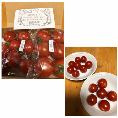 みんなの投稿の画像