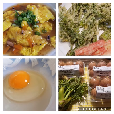 みんなの投稿の画像