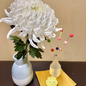 ＊お部屋のインテリアに＊フルブルームマム