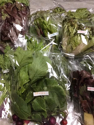 みんなの投稿の画像