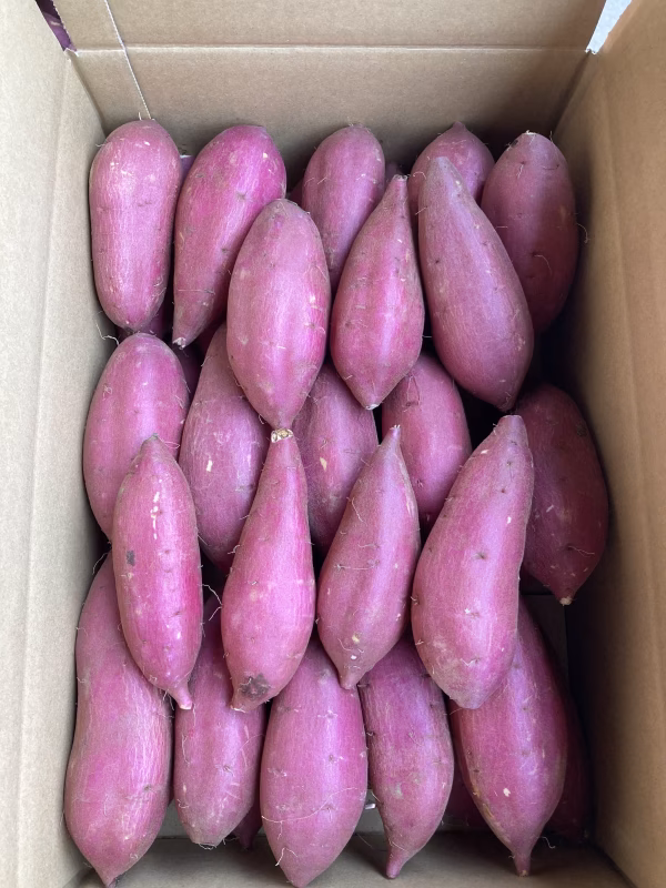 【新物】シルクスイート　Sサイズ　さつまいも