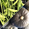 【期間限定】枝豆とカボチャのセット