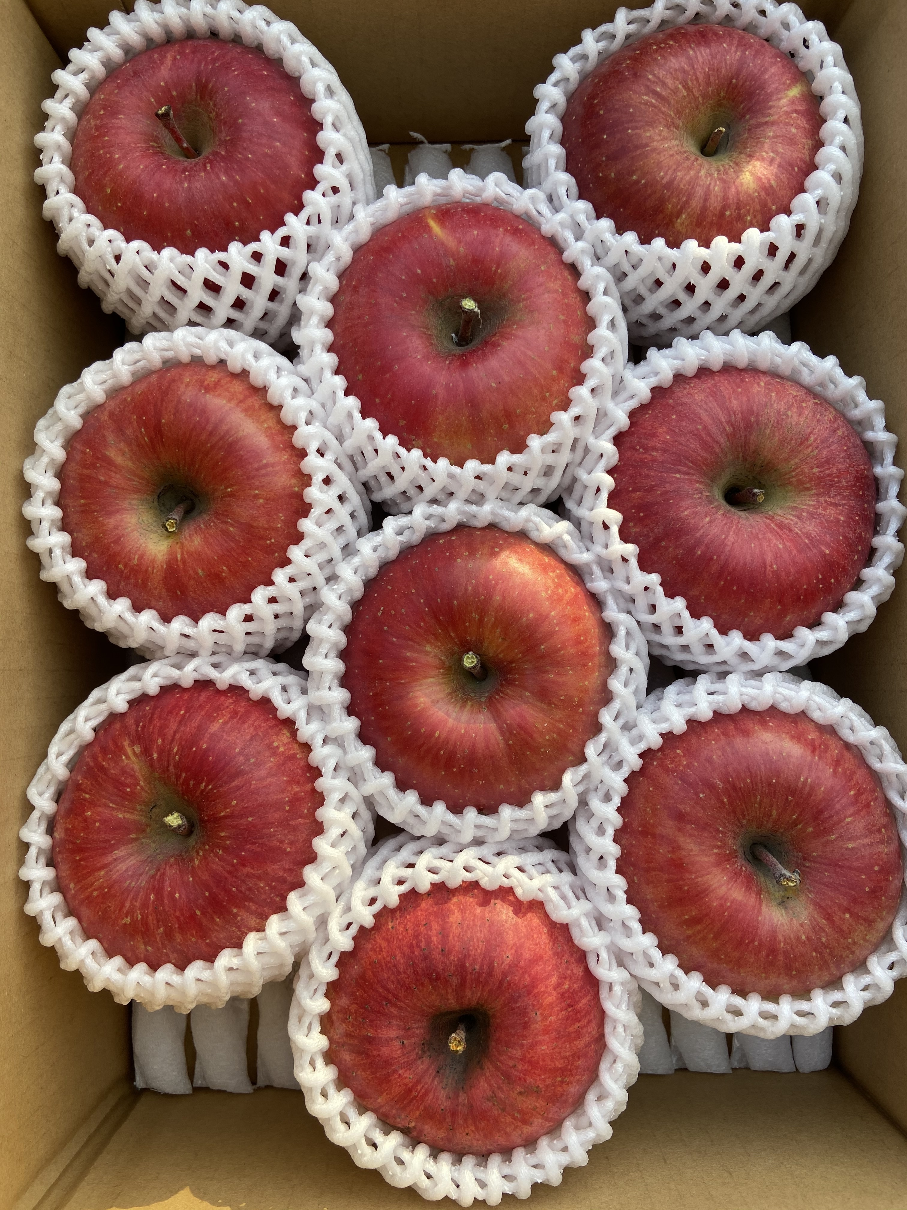 シャキシャキッ!完熟サンふじ 3kg箱〜 信州りんご 完熟サンふじ3kg箱 7〜12個入り